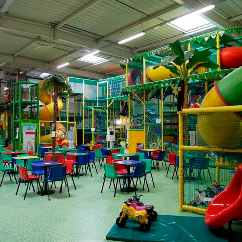 Junglekid Paquete Taquiza 100 Personas Lunes a Viernes - Image 3