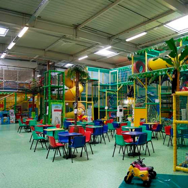 Junglekid Paquete Taquiza 50 Personas Lunes a Viernes - Image 3