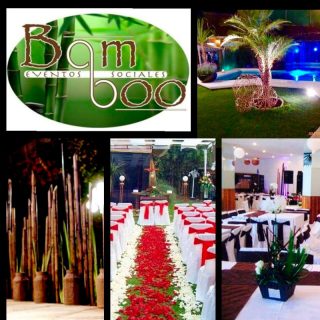 Salon Bamboo 50 personas