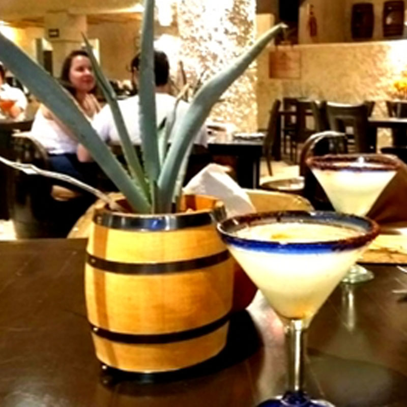 Tequila Aventura Tapatía - Image 4