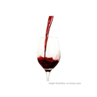 Vino Tinto Monte Xanic Merlot 750 Ml