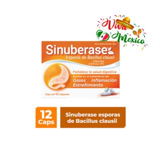 Sinuberase Esporas bacillus