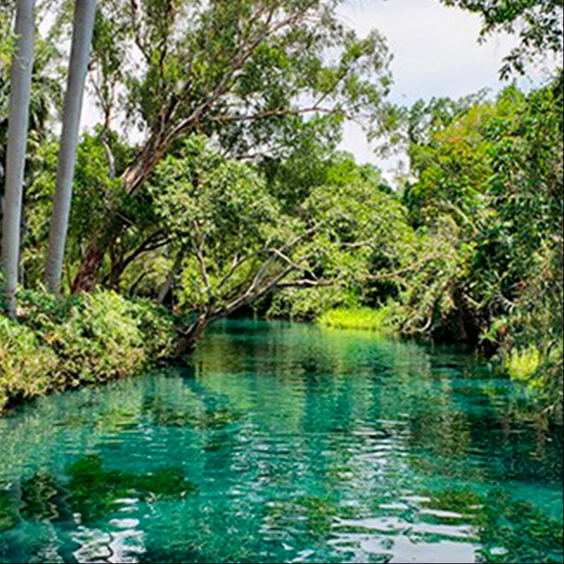 Las Estacas y Yecapixtla