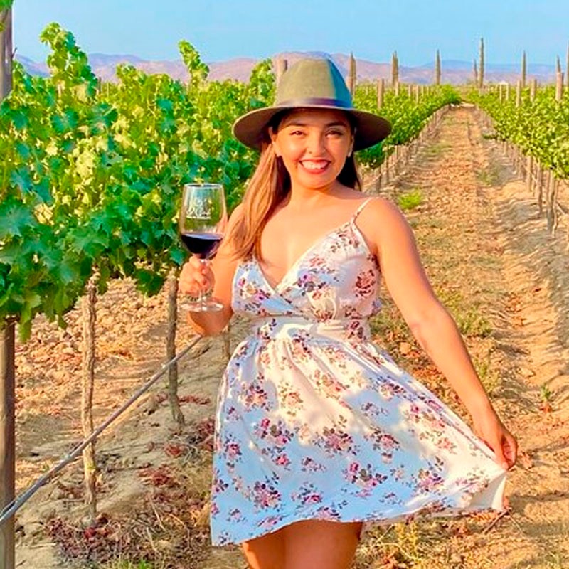 Wine Tour privado en Valle de Guadalupe (Incluye 1 degustación de vinos).