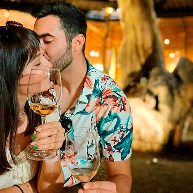 Wine Tour privado en Valle de Guadalupe (Incluye 1 degustación de vinos). - Image 2