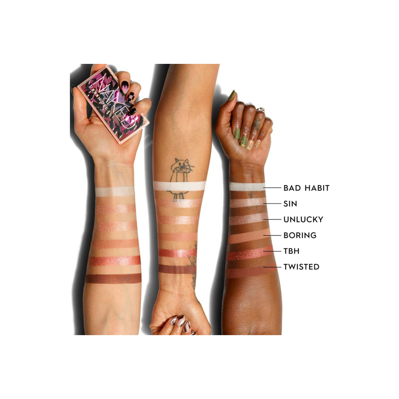 Paleta De Sombras De Ojos 6 Multiusos Con Brillo Mate Y Metálicos - Image 3