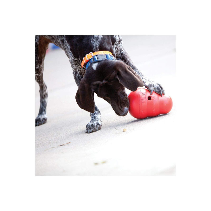 Juguete para Perro con Dispensador Para Bocadillos - Image 3