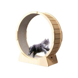 Rueda de Ejercicio para Gatos