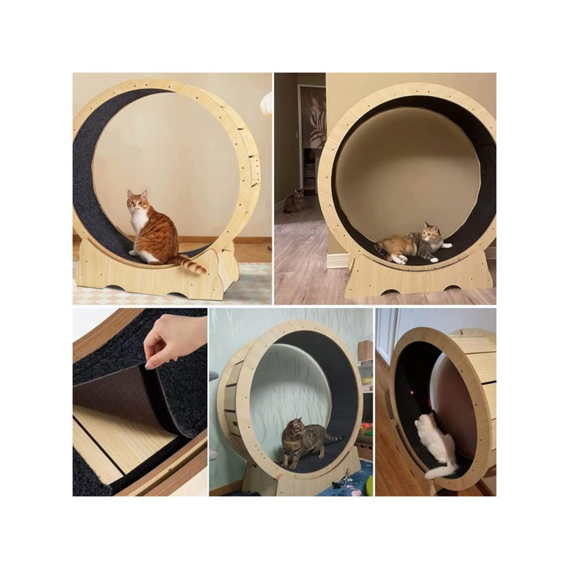 Rueda de Ejercicio para Gatos - Image 3