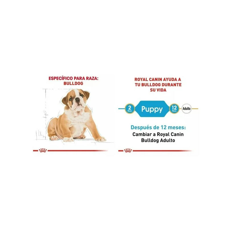 Alimento Seco para Perro Royal Canin Bulldog de 13.6 kg - Image 2